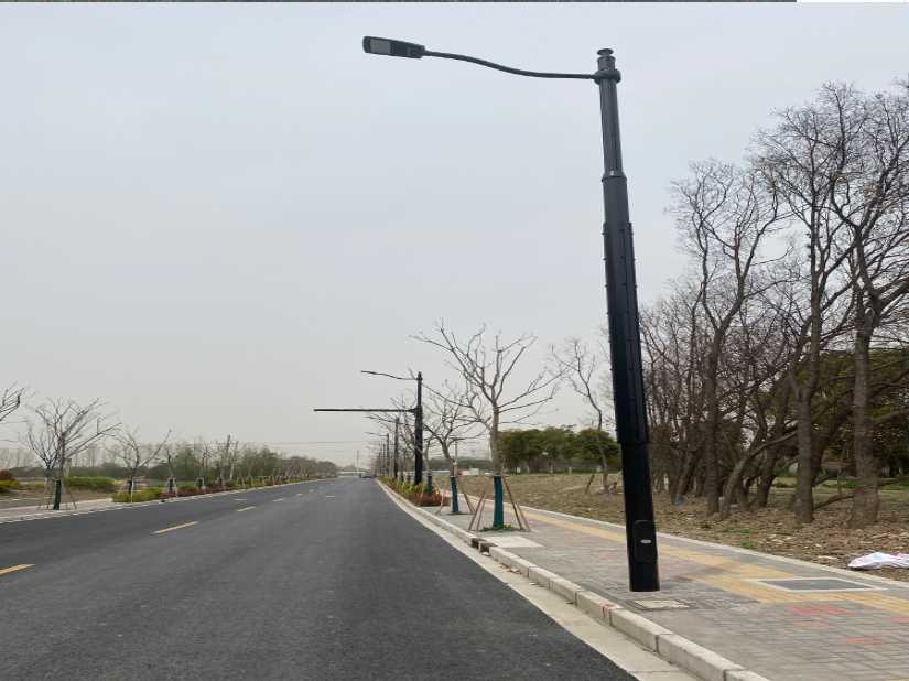 山阳县上海综合杆 太阳能路灯工程